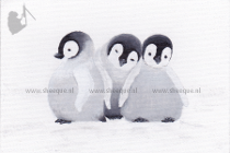 Brievenbuskunst schilderij Hoopje pinguin